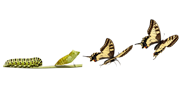 What Will I&nbsp;Be?